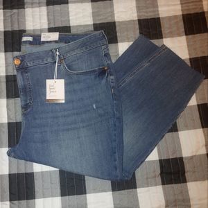 LC Lauren Conrad 24W skinny crop jeans.  NWT
